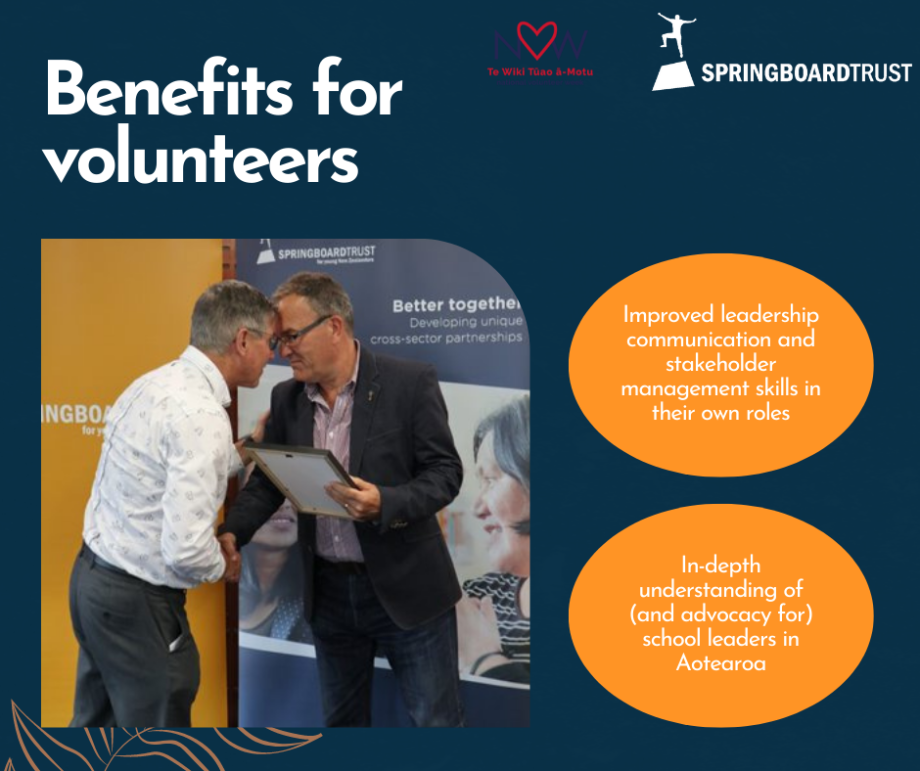 What do volunteers get out of working with Springboard Trust?